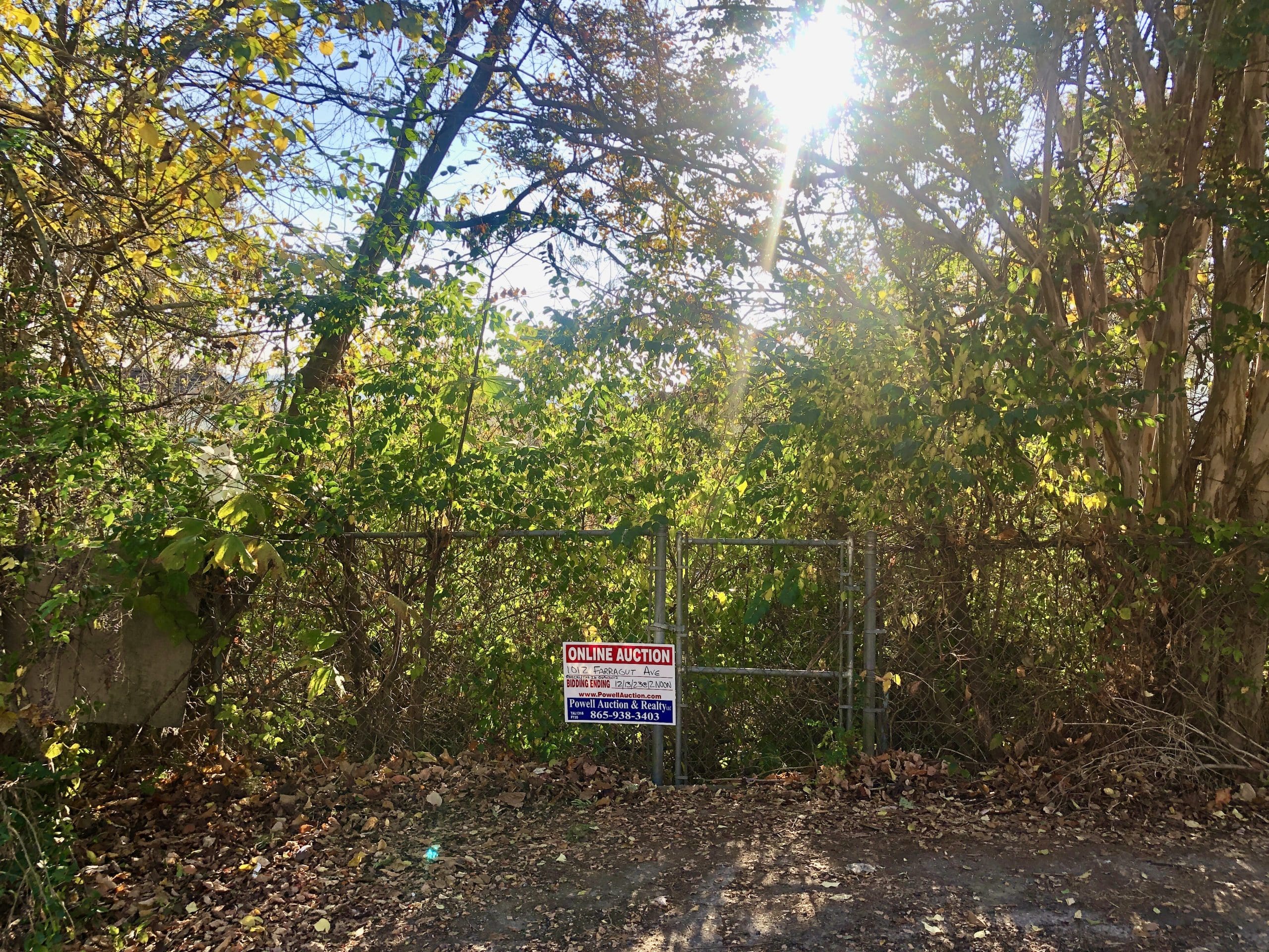 Powell Auction & Realty