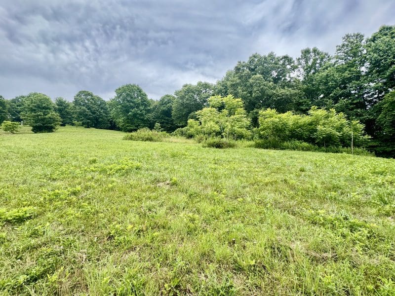This image is by Powell Auction & Realty.