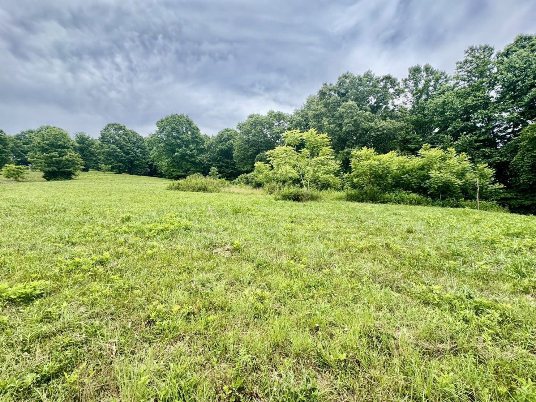 This image is by Powell Auction & Realty.