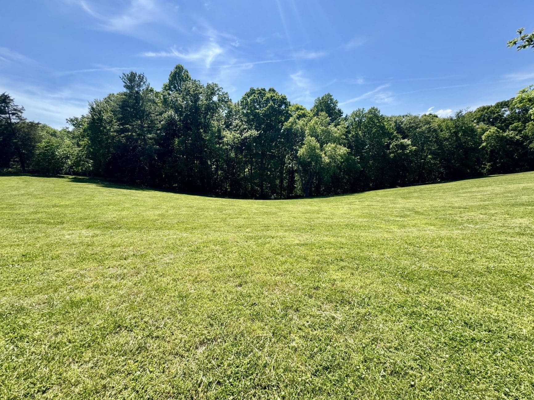 This image is by Powell Auction & Realty.