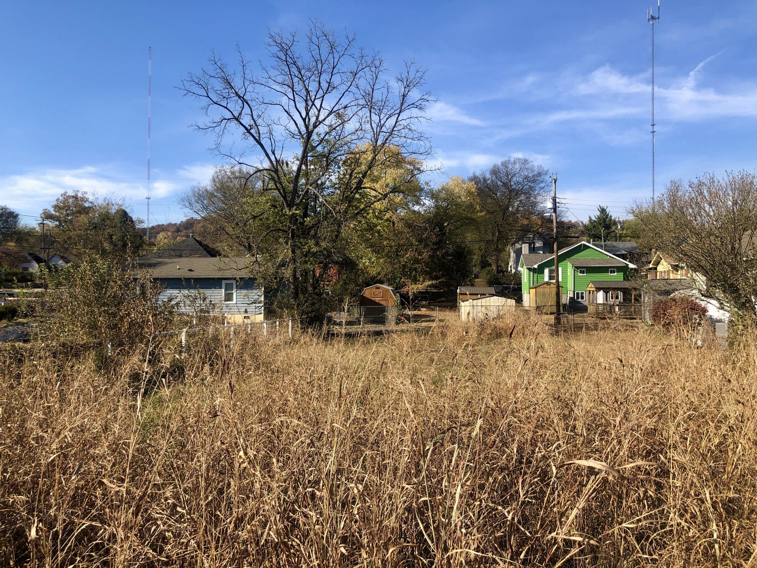 Powell Auction & Realty