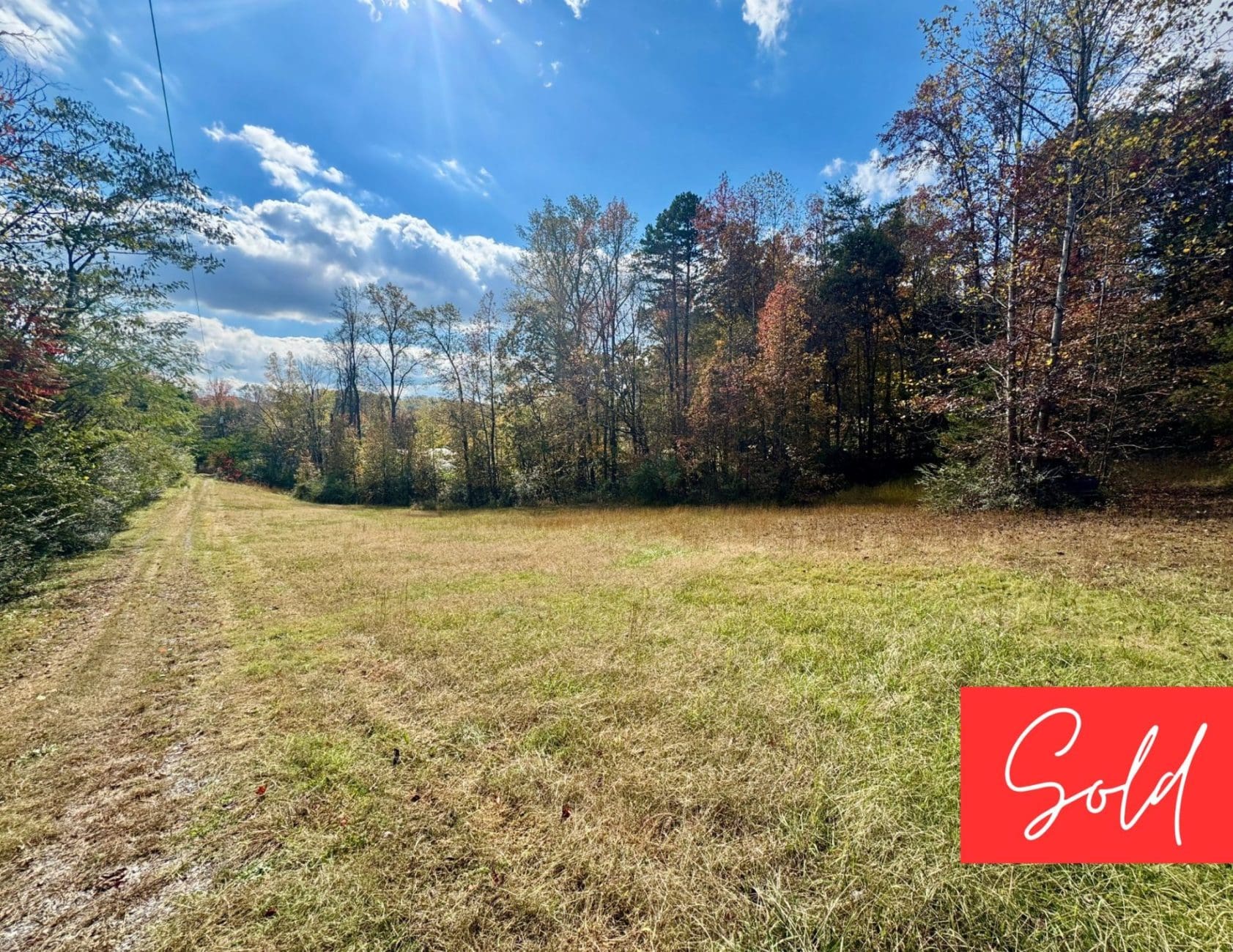 This image is by Powell Auction & Realty.