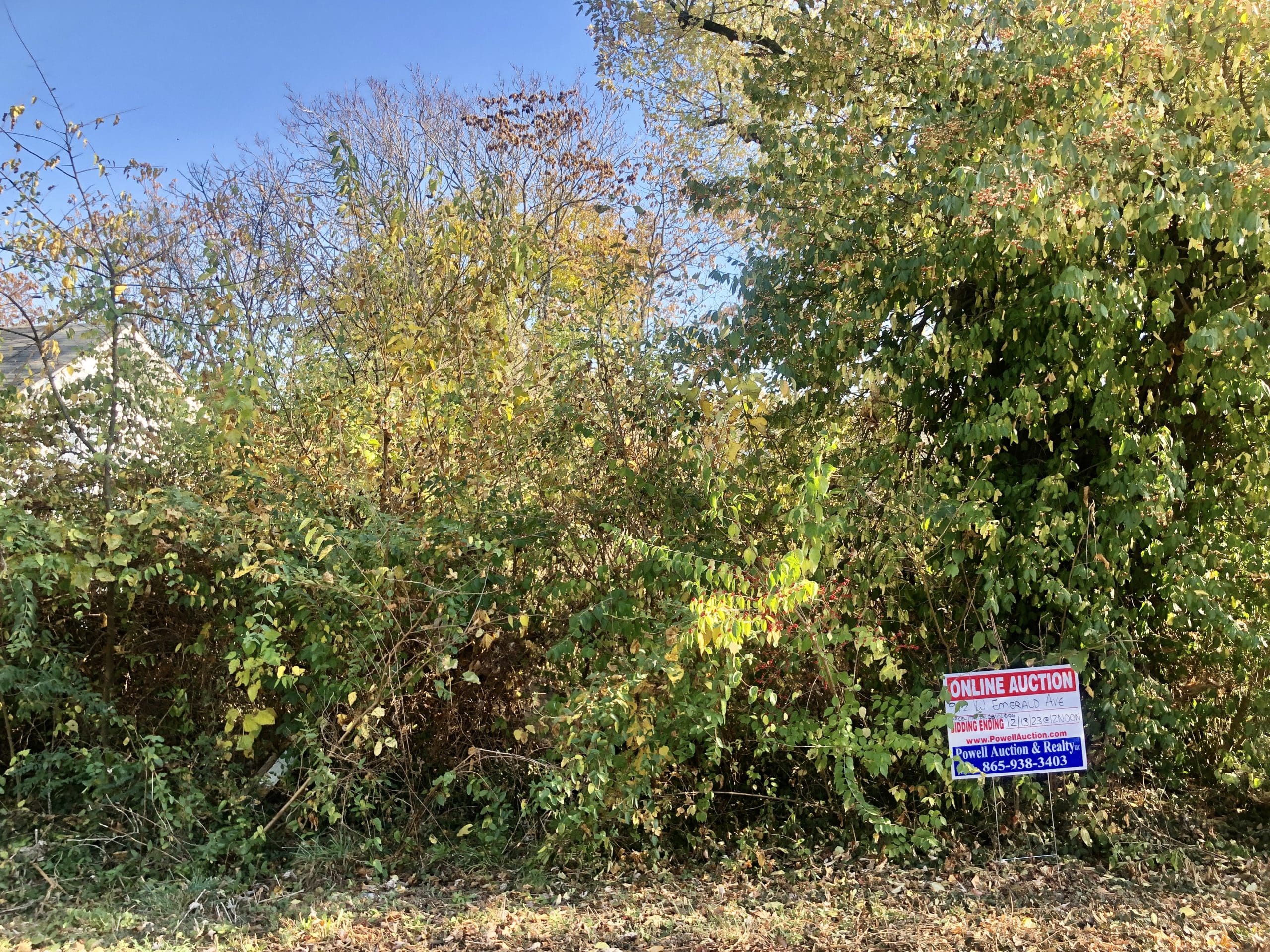 Powell Auction & Realty