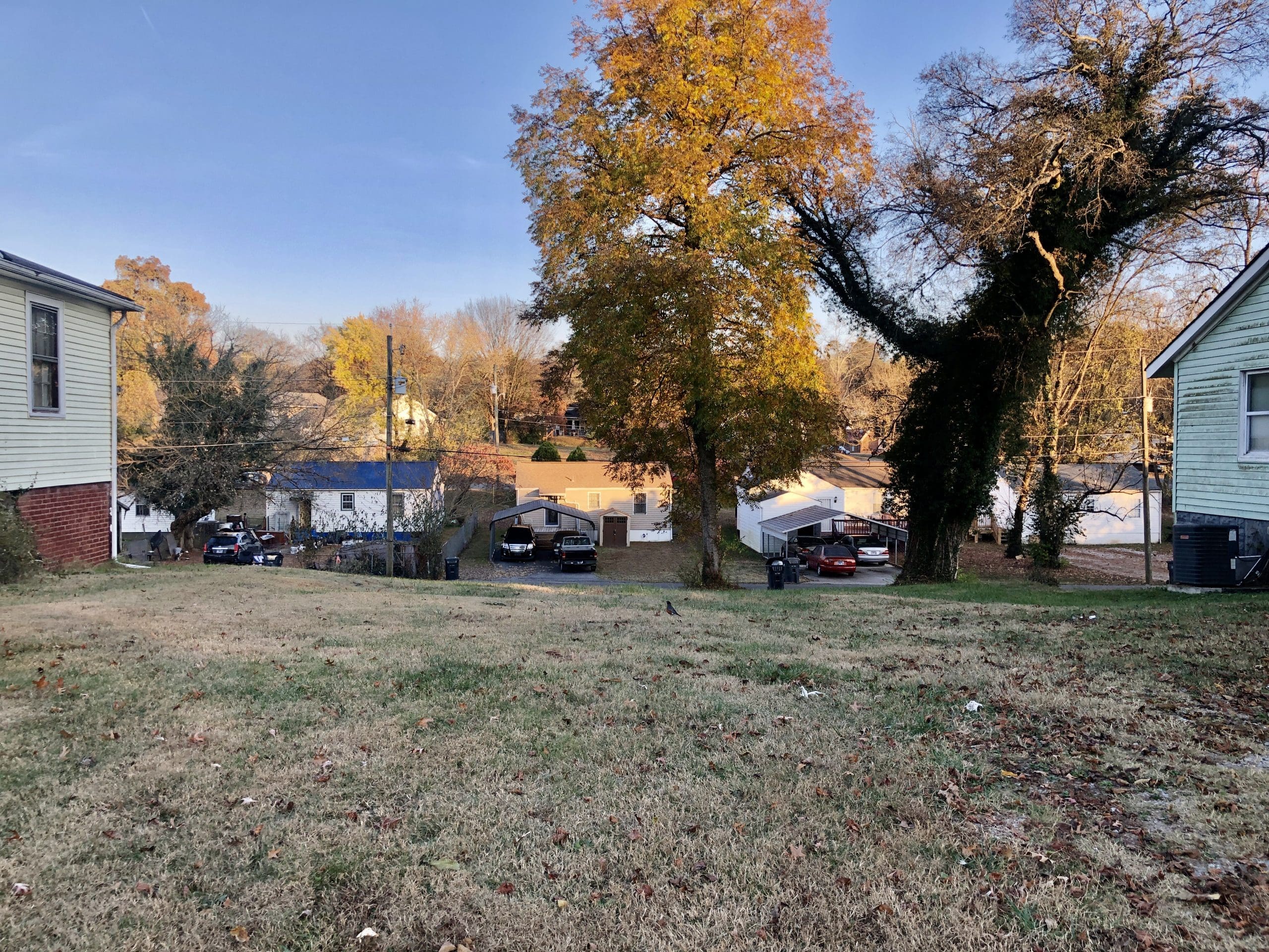 Powell Auction & Realty