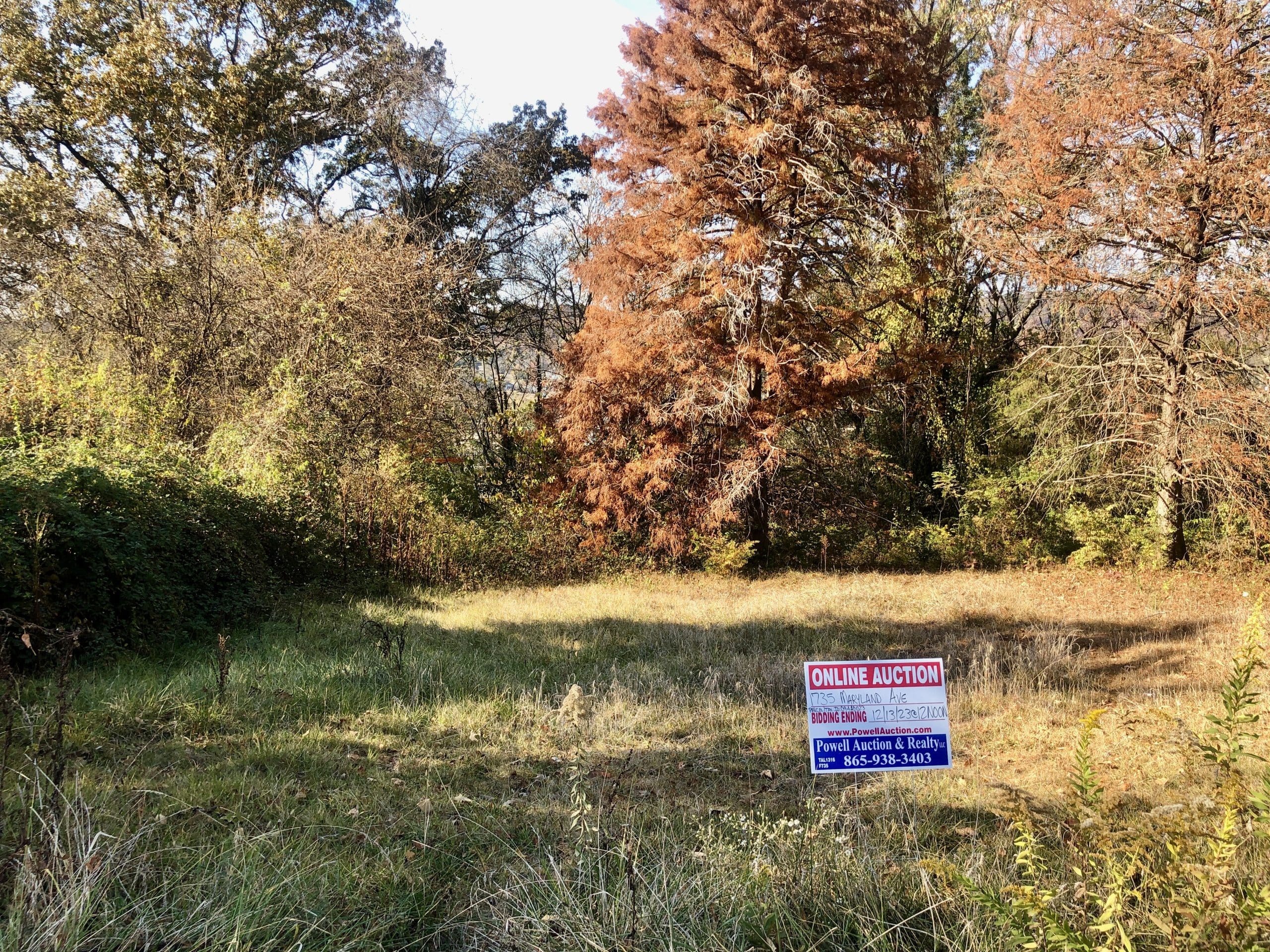 Powell Auction & Realty