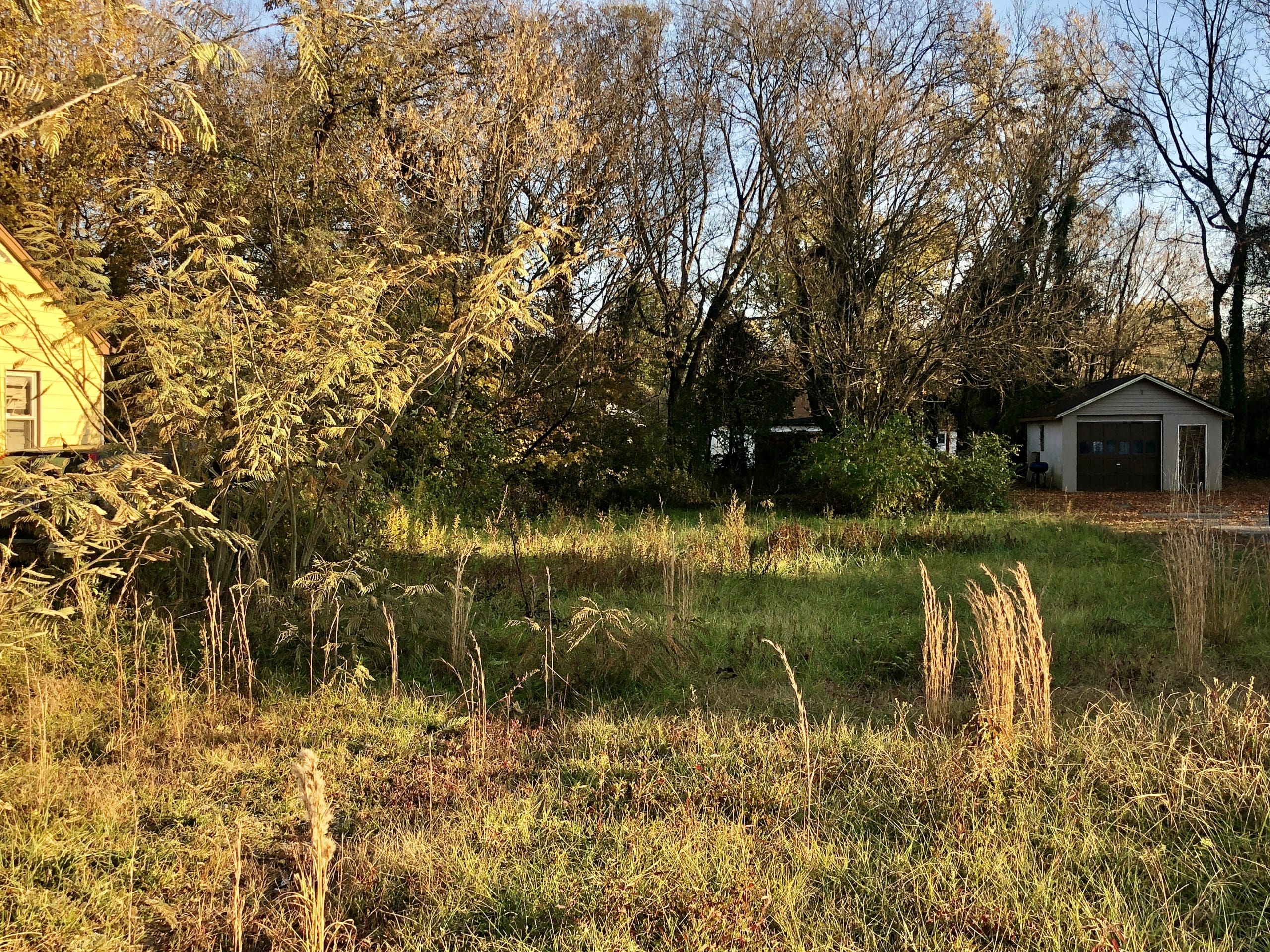 Powell Auction & Realty
