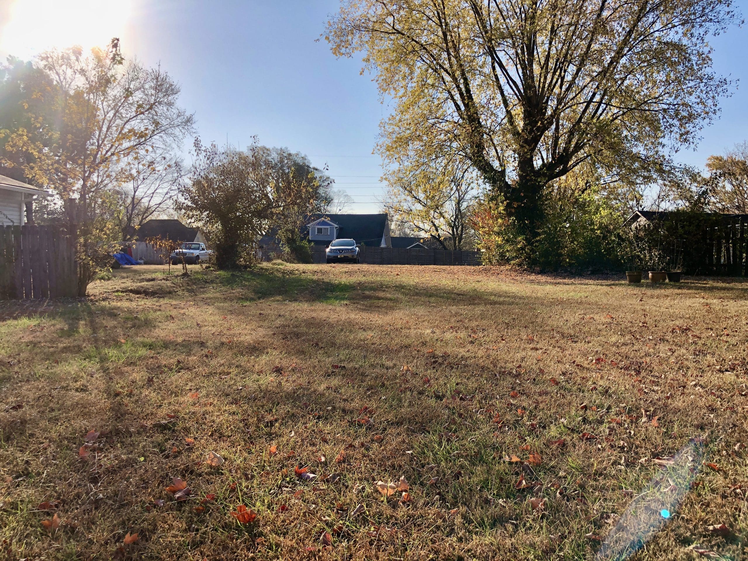 Powell Auction & Realty