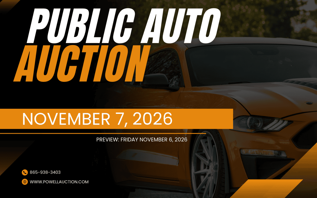 PUBLIC AUTO AUCTION – 11.7.26