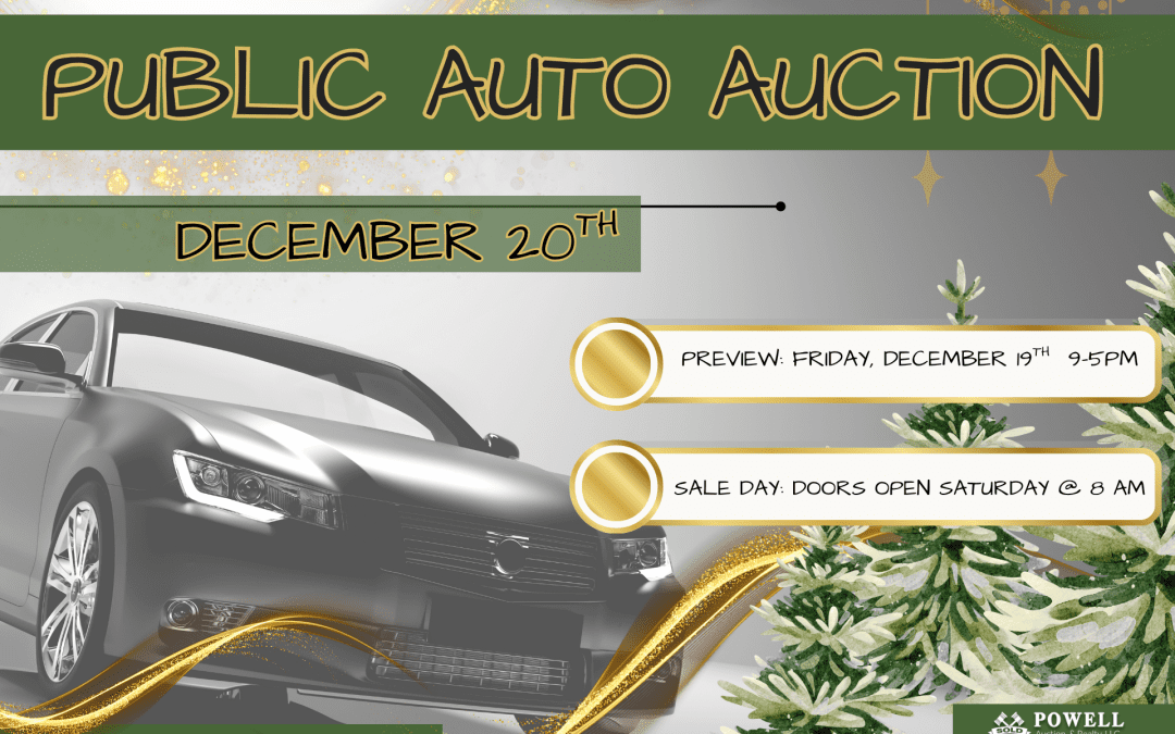 PUBLIC AUTO AUCTION – DECEMBER 20, 2025