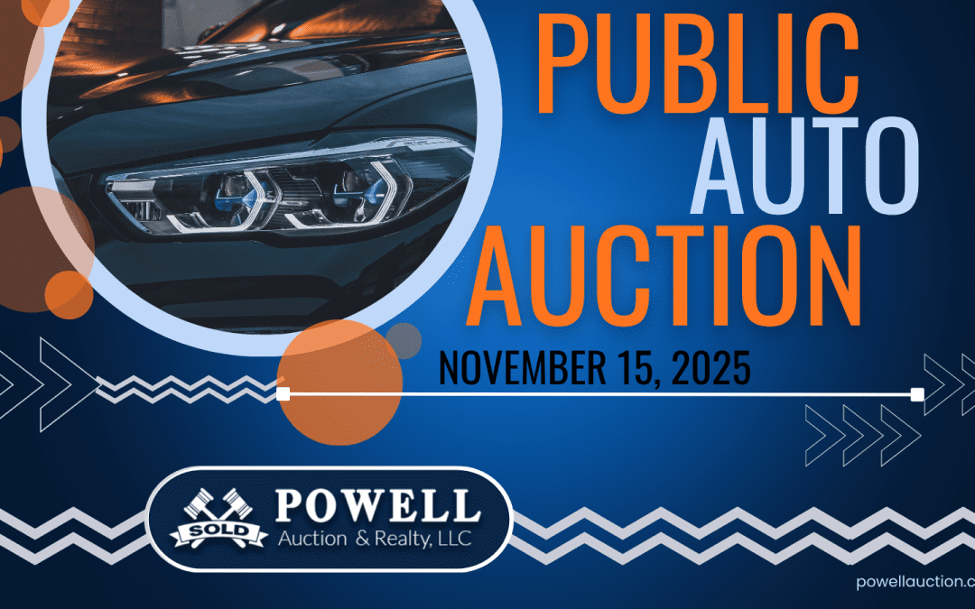 PUBLIC AUTO AUCTION – NOVEMBER 15, 2025