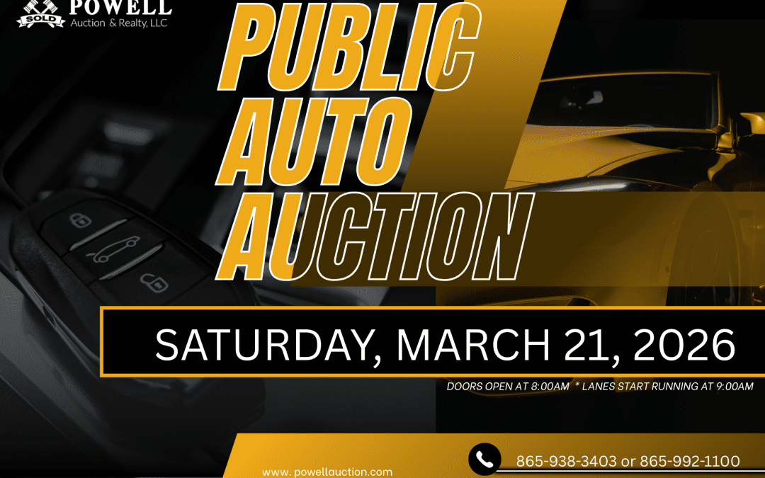 PUBLIC AUTO AUCTION – 03.21.2026
