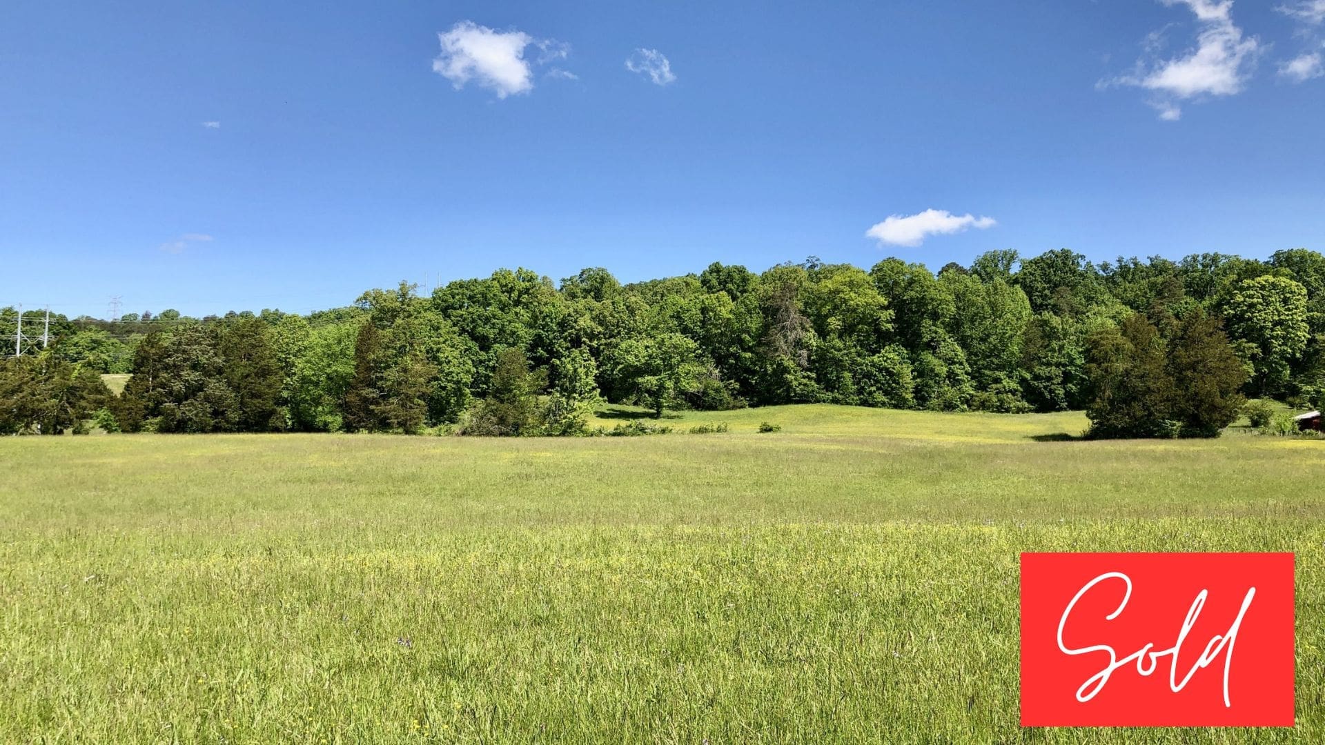 This image is by Powell Auction & Realty.