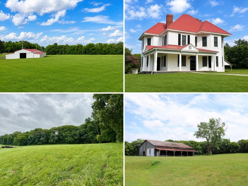 This image is by Powell Auction & Realty.