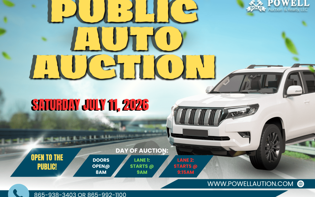 PUBLIC AUTO AUCTION – 07.11.2026