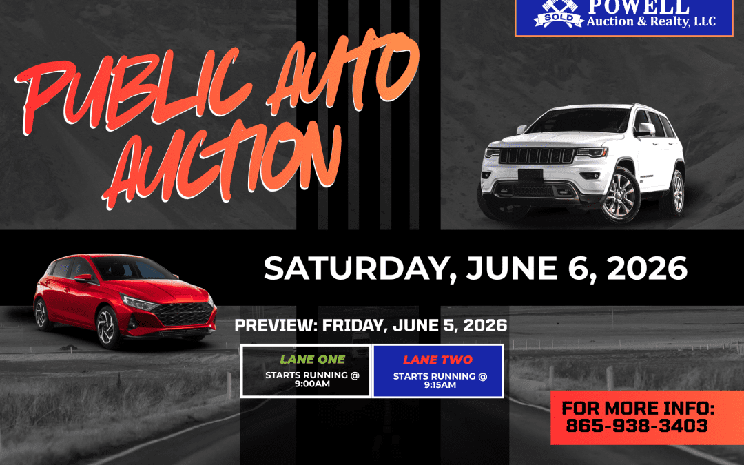 PUBLIC AUTO AUCTION – 06.06.2026