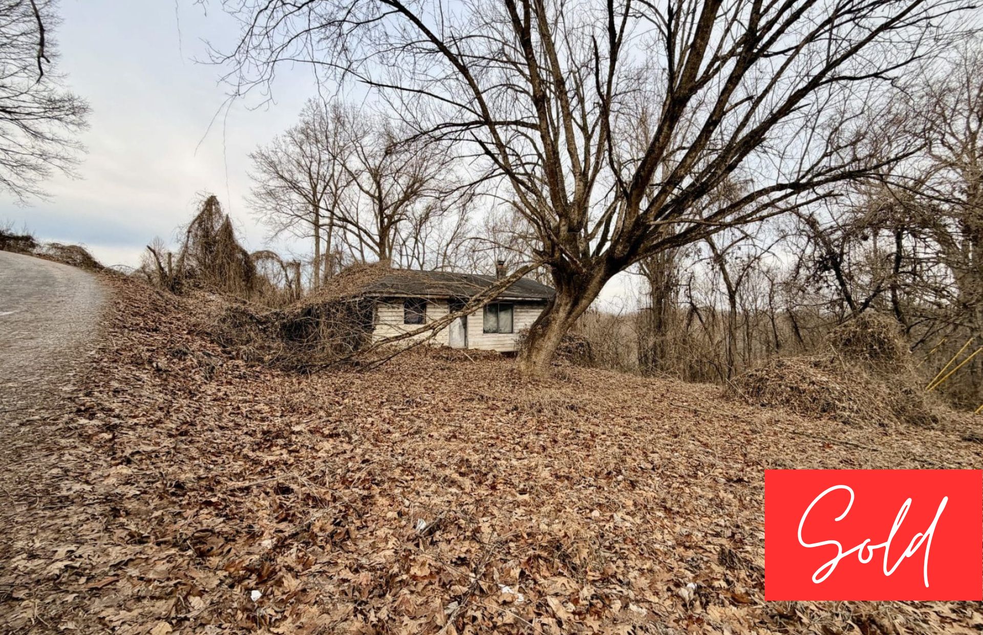 This image is by Powell Auction & Realty.