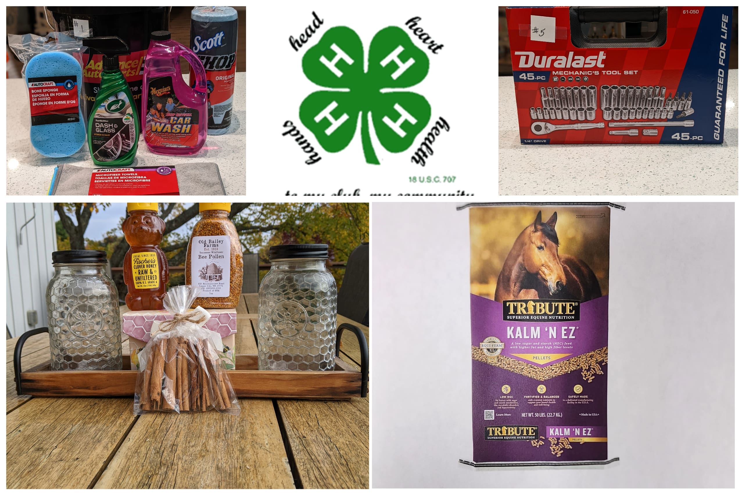 Knox County 4-H Horse and Pony Club Fund Raising Online Auction