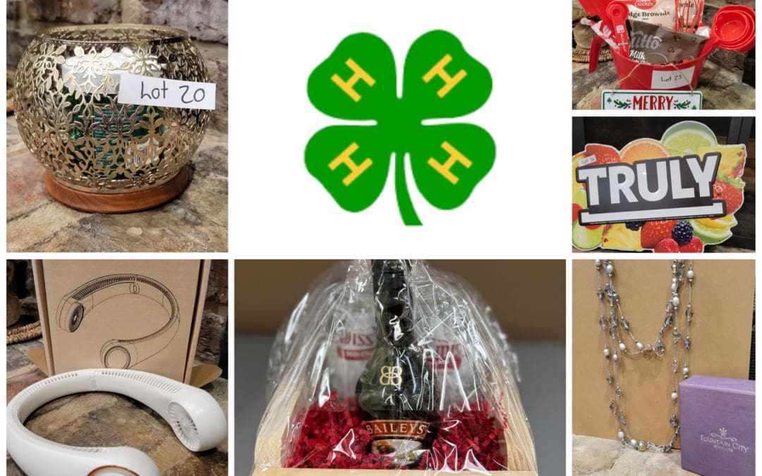 Knox County 4-H Horse and Pony Club Fund Raising Online Auction
