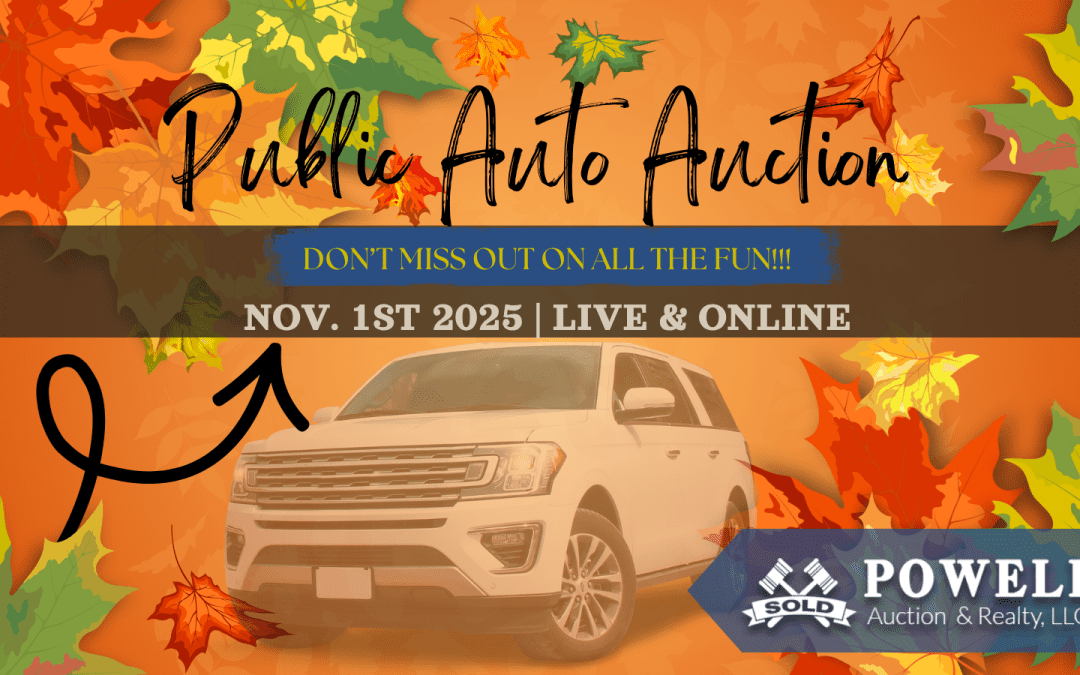 PUBLIC AUTO AUCTION – NOVEMBER 1, 2025
