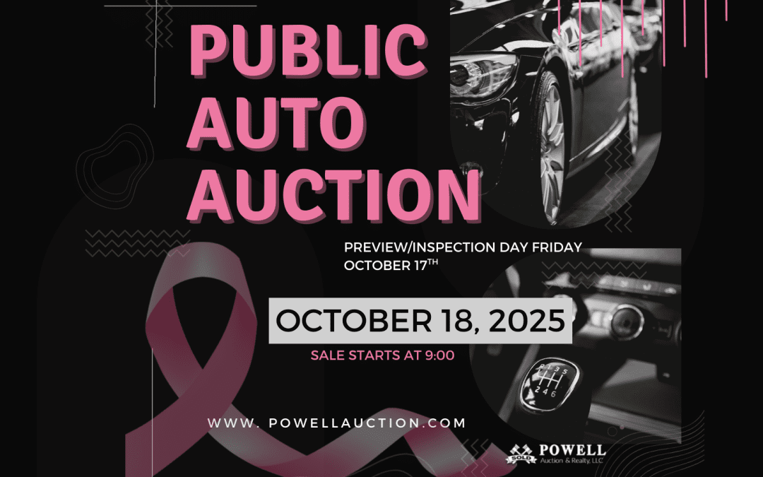 PUBLIC AUTO AUCTION – OCTOBER 18, 2025