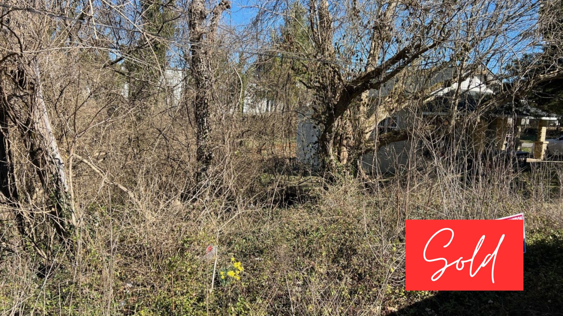 This image is by Powell Auction & Realty.