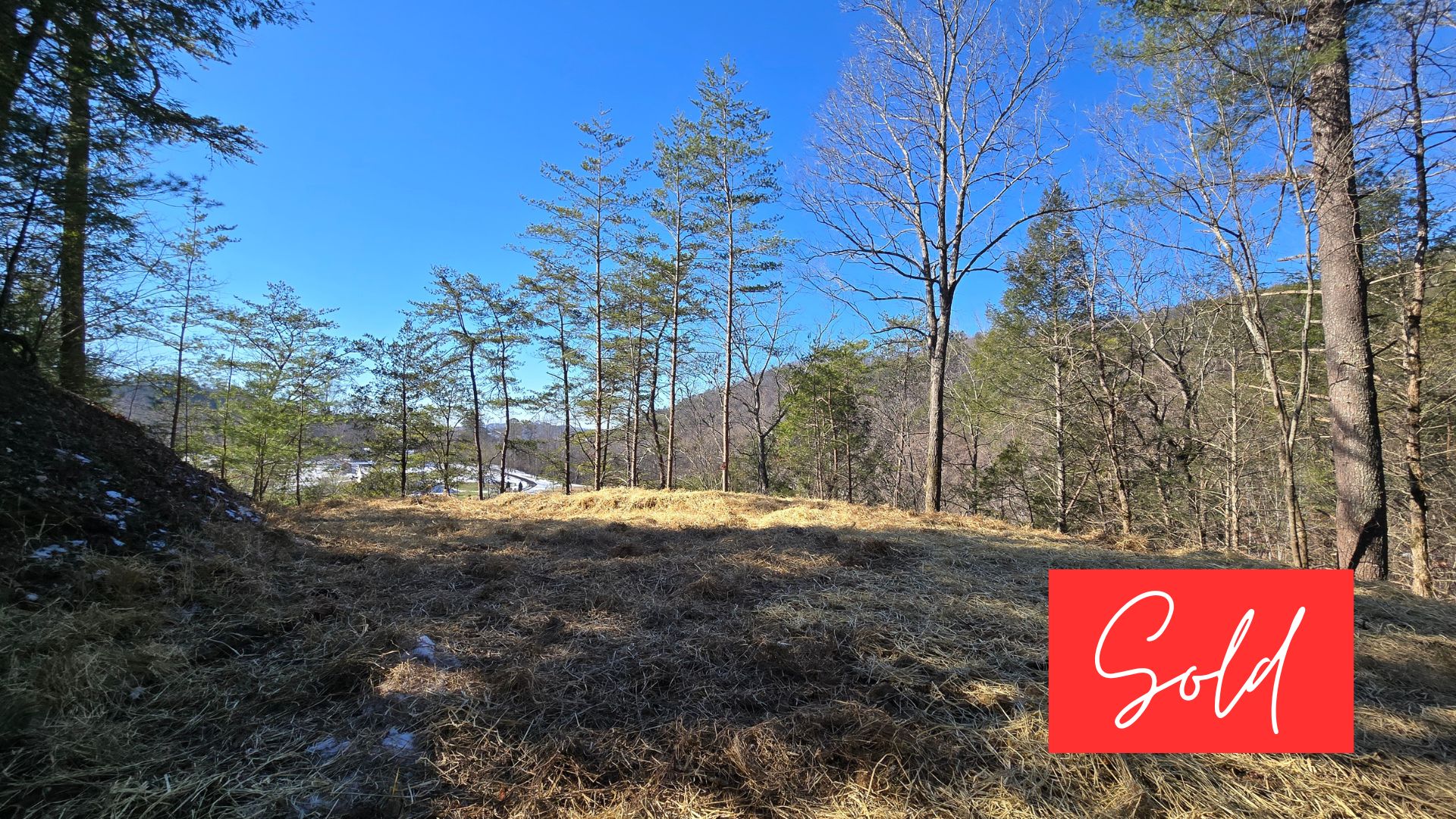 This image is by Powell Auction & Realty.