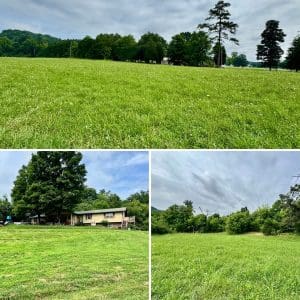 This image is by Powell Auction & Realty.