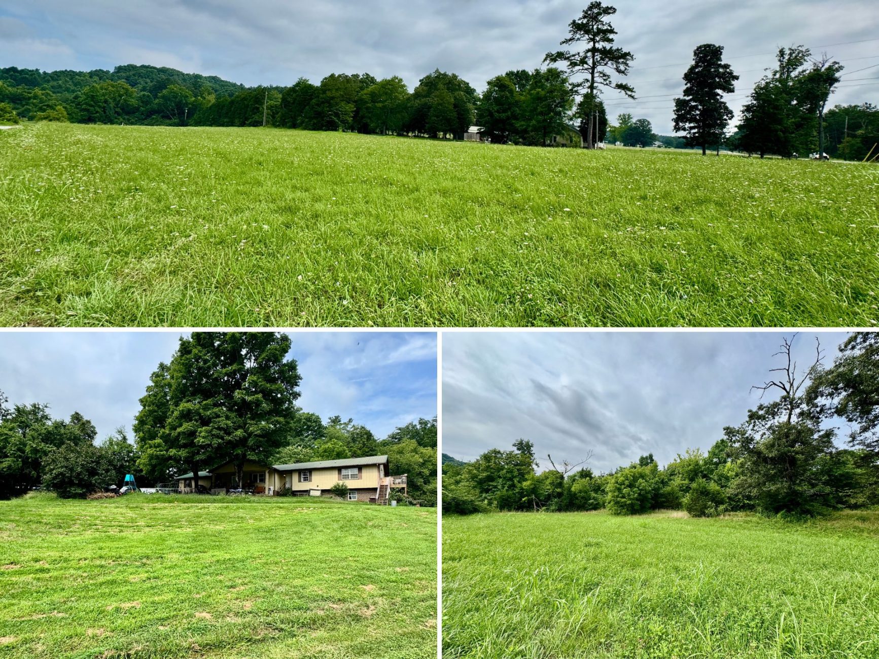 This image is by Powell Auction & Realty.