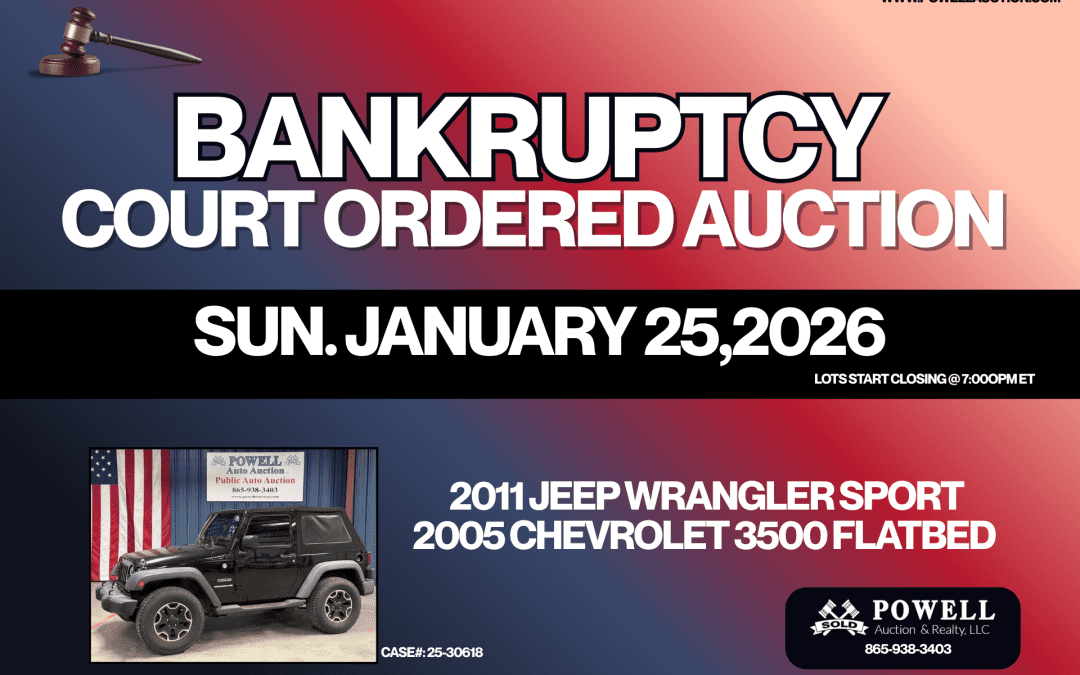 BANKRUPTCY COURT ORDERED AUCTION- SUNDAY, JANUARY 25, 2026- Online Only Bidding – 7pm ET