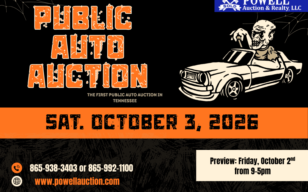 PUBLIC AUTO AUCTION – 10.03.26