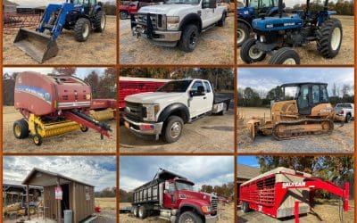 An Auction House for Untold Treasures